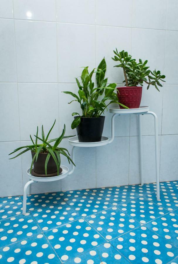 Apartament Downtown Shelter - Casa da Praça Aveiro Zewnętrze zdjęcie